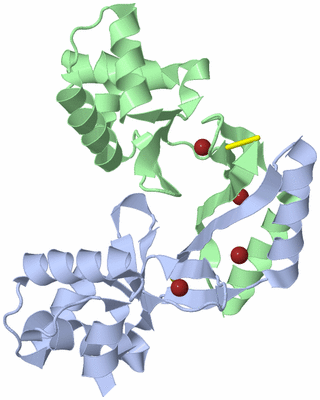Image Asym./Biol. Unit
