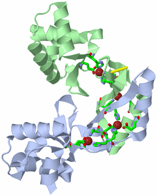 Image Asym./Biol. Unit - sites