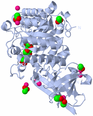 Image Biological Unit 1