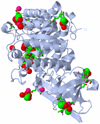 Image Biol. Unit 1 - sites