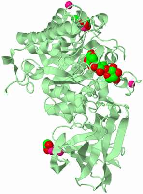 Image Biological Unit 2