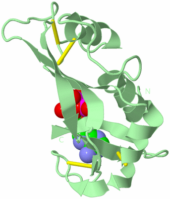 Image Biological Unit 2