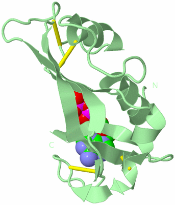 Image Biological Unit 2