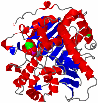 Image Asym./Biol. Unit