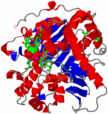 Image Asym./Biol. Unit - sites