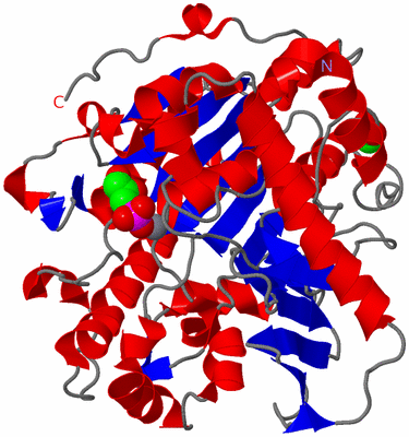 Image Asym./Biol. Unit