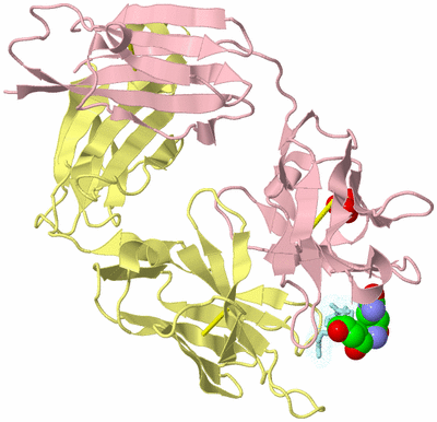 Image Biological Unit 2