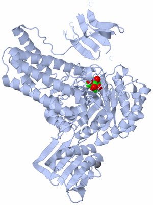 Image Biological Unit 1