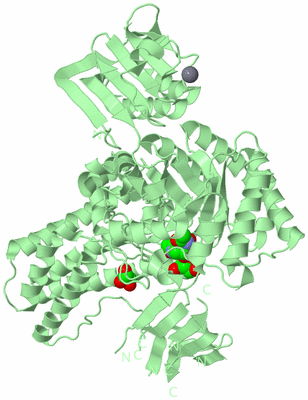 Image Biological Unit 2