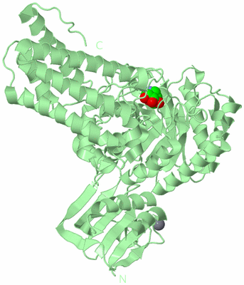 Image Biological Unit 2