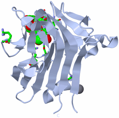 Image Biol. Unit 1 - sites