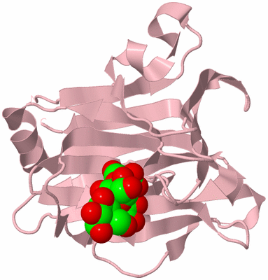 Image Biological Unit 3