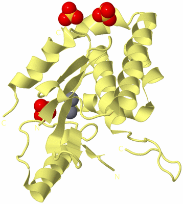 Image Biological Unit 3