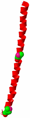 Image Asymmetric Unit