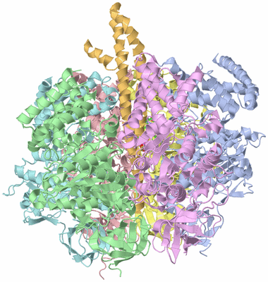 Image Asym./Biol. Unit - sites