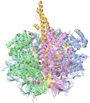 Image Asym./Biol. Unit