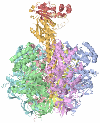 Image Asym./Biol. Unit