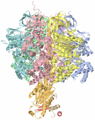 Image Asym./Biol. Unit