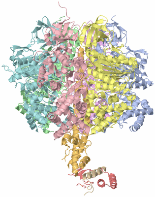 Image Asym./Biol. Unit