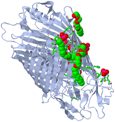 Image Biol. Unit 1 - sites