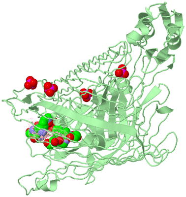 Image Biological Unit 2