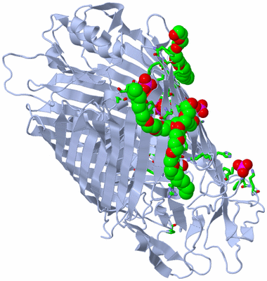 Image Biol. Unit 1 - sites