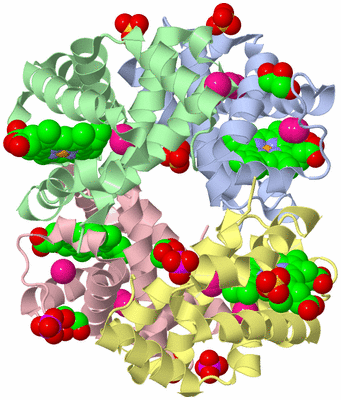 Image Asym./Biol. Unit