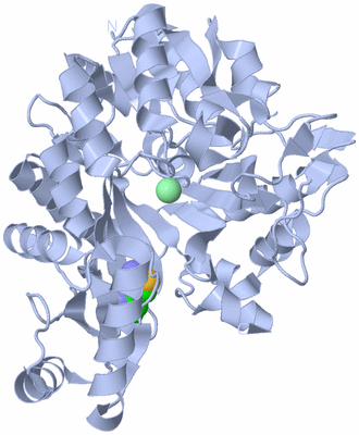 Image Biological Unit 1