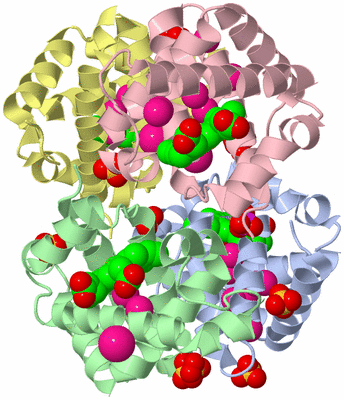 Image Asym./Biol. Unit