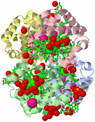 Image Asym./Biol. Unit - sites