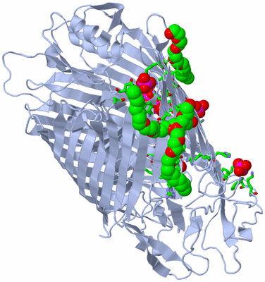 Image Biol. Unit 1 - sites