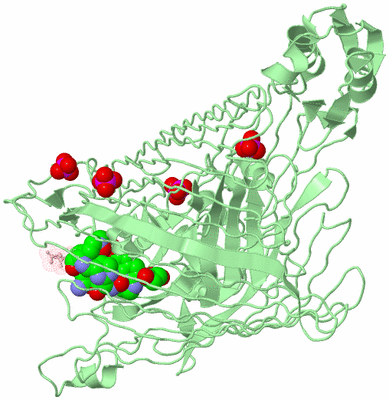 Image Biological Unit 2