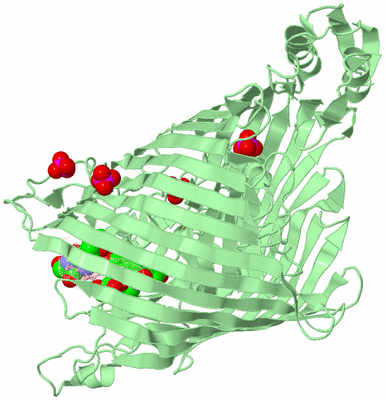 Image Biological Unit 2