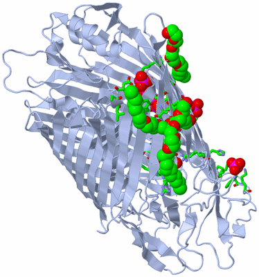 Image Biol. Unit 1 - sites