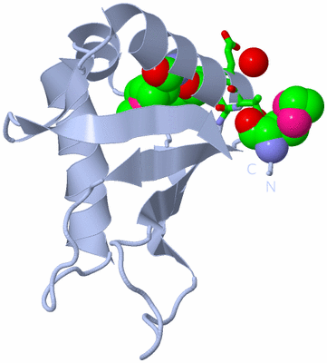 Image Biol. Unit 1 - sites