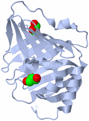 Image Biological Unit 1