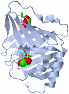 Image Biol. Unit 1 - sites