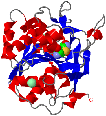 Image Asym./Biol. Unit