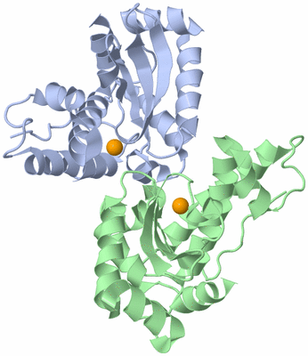 Image Asym./Biol. Unit