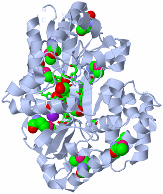 Image Biol. Unit 1 - sites