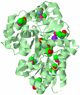 Image Biological Unit 2