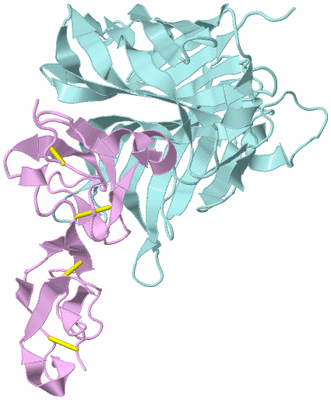 Image Biological Unit 3