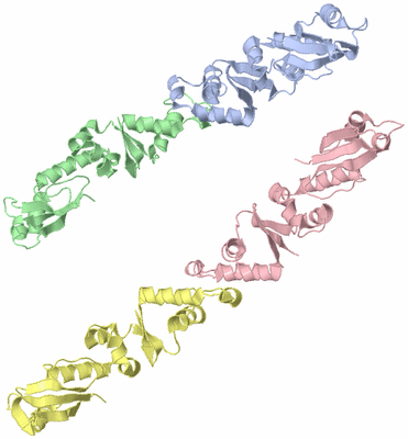 Image Asymmetric Unit