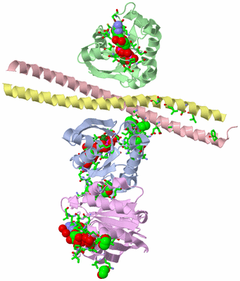 Image Asym./Biol. Unit - sites