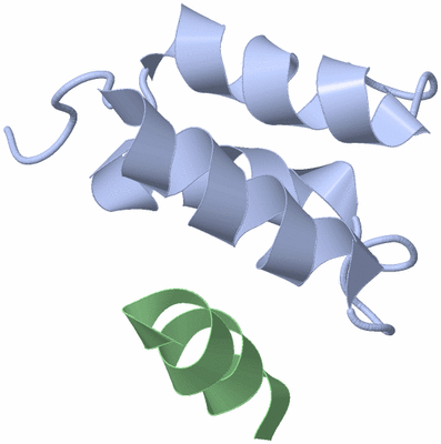 Image NMR Structure - model 1