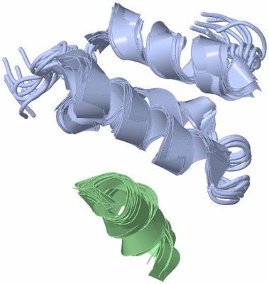 Image NMR Structure - all models