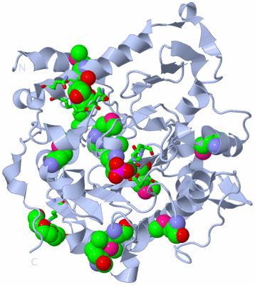 Image Biol. Unit 1 - sites