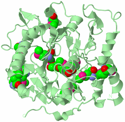 Image Biological Unit 2