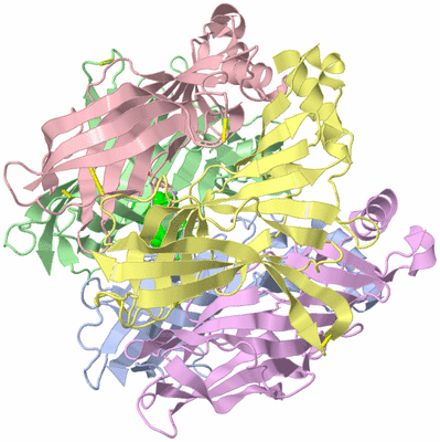 Image Biol. Unit 1 - sites