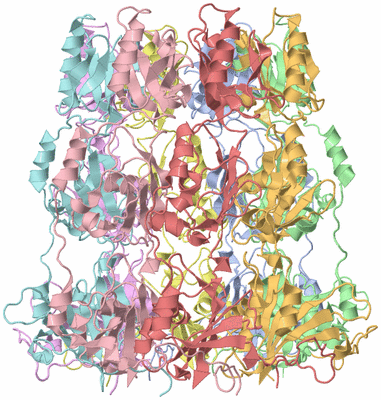 Image Asym./Biol. Unit